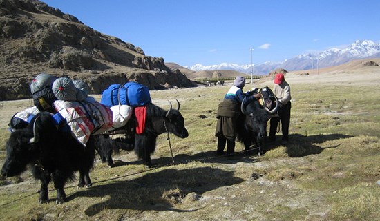 Tibet Trekking von Damxung zum Nam Tso See