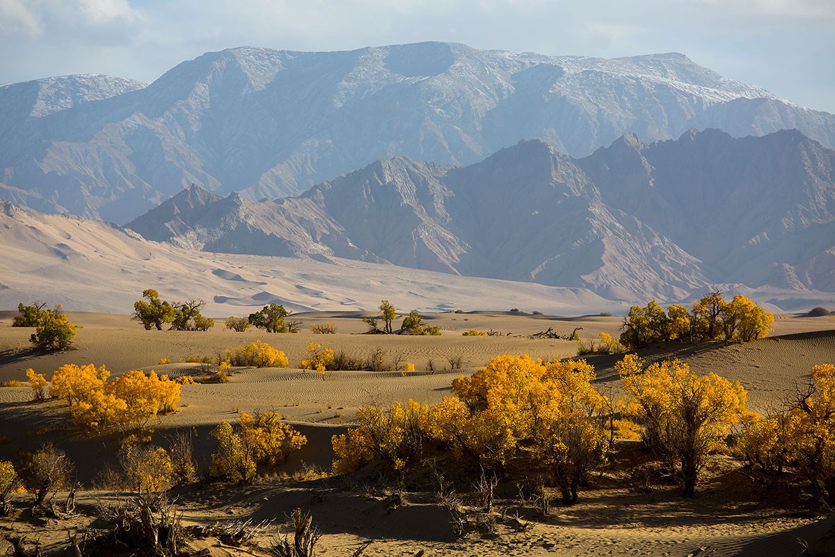 Desert in South Xinjiang 