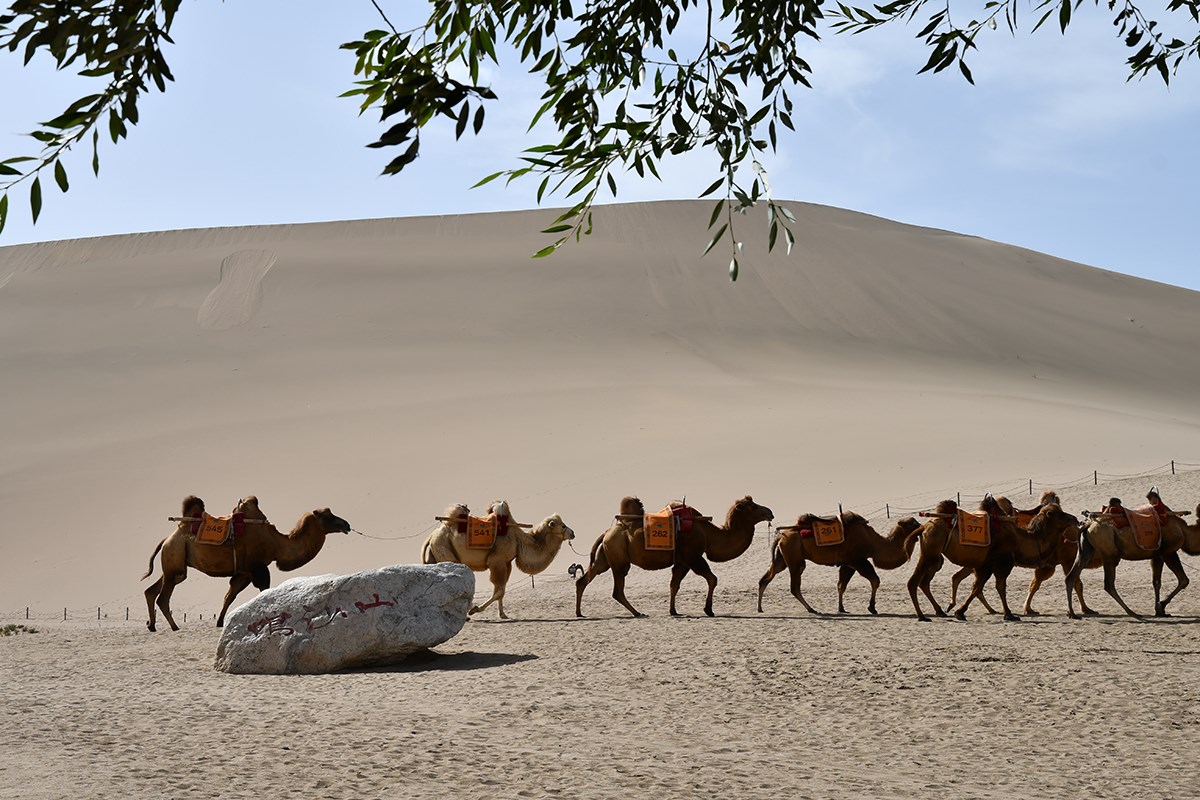 Singing Sand Dunes in Dunhuang | Foto von Liu Bin