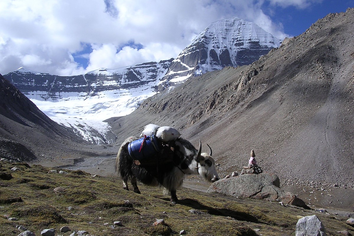Kailash Trekking