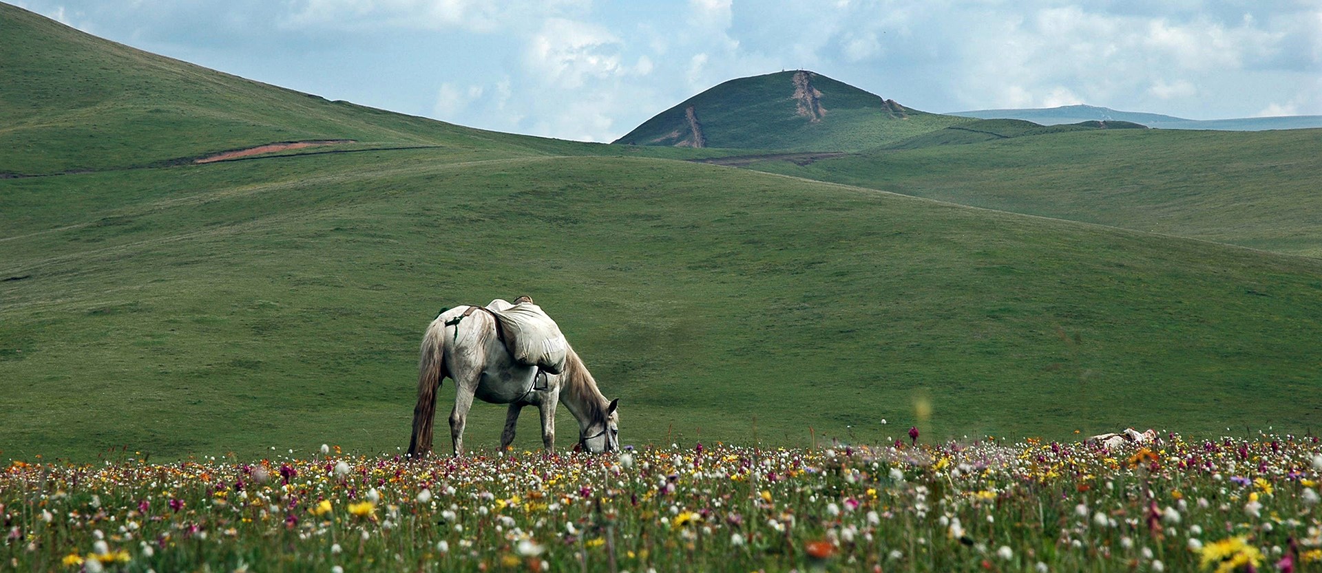 Pferdereitenreisen in Tibetischen Gebieten Kham und Amdo
